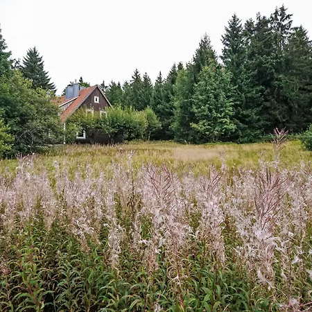 Lejlighed In Altenau Mit Garten By Interhome Torfhaus